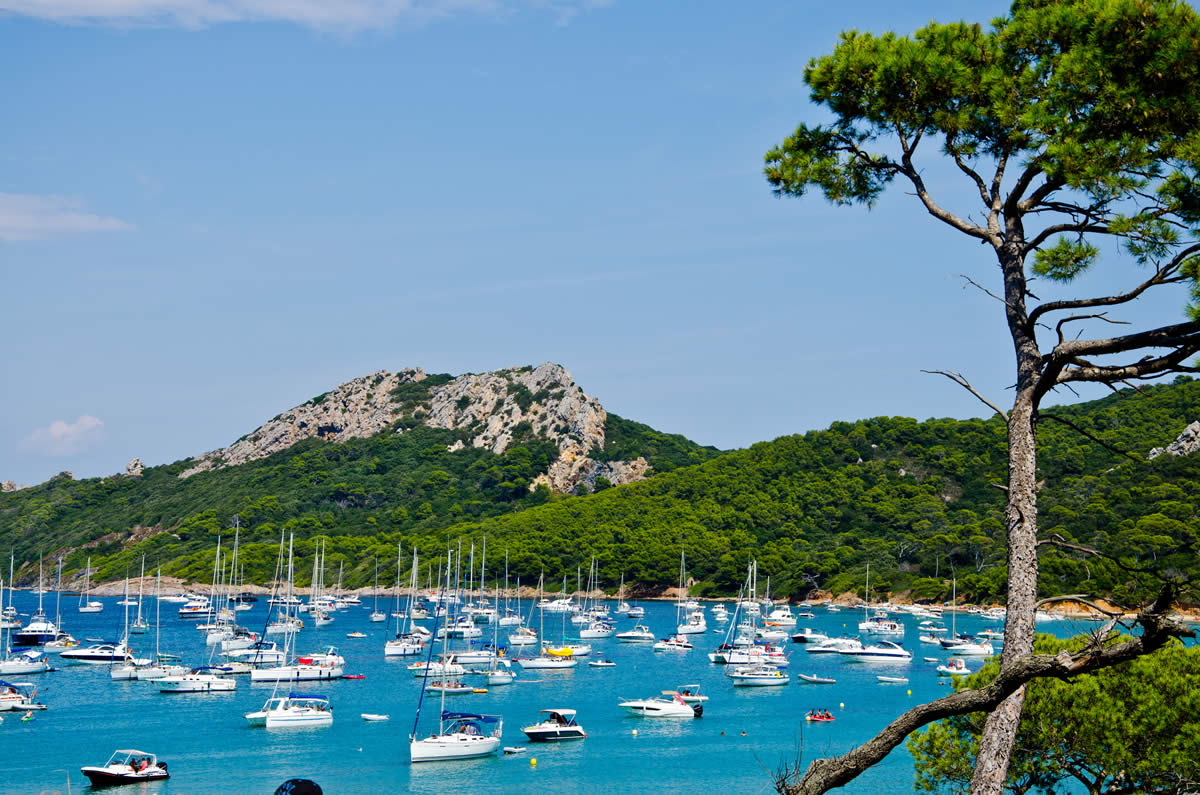 Thème Pour Visiter Porquerolles